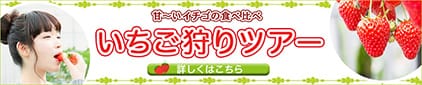 実績バナー